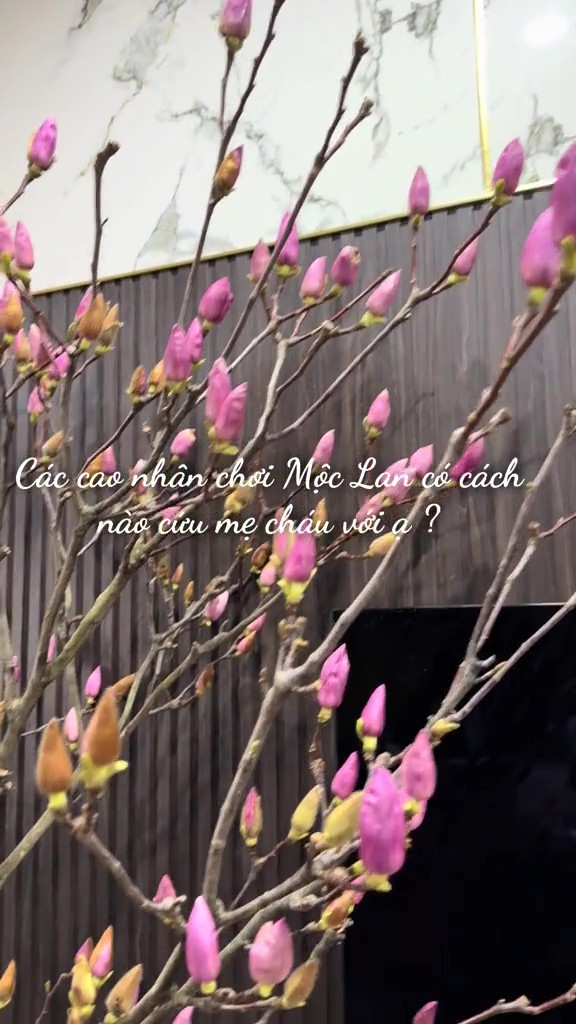 V&igrave; sao n&oacute;i chơi Hoa Mộc Lan l&agrave; "m&ocirc;n thể thao mạo hiểm&rdquo; nhất Tết Ngựa?- Ảnh 5.