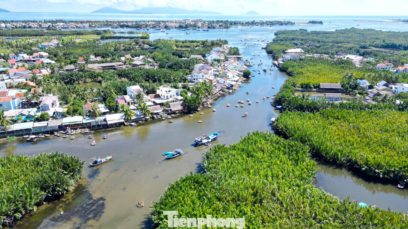 C&oacute; g&igrave; ở ng&ocirc;i l&agrave;ng giữa rừng dừa nước được Forbes vinh danh?- Ảnh 7.