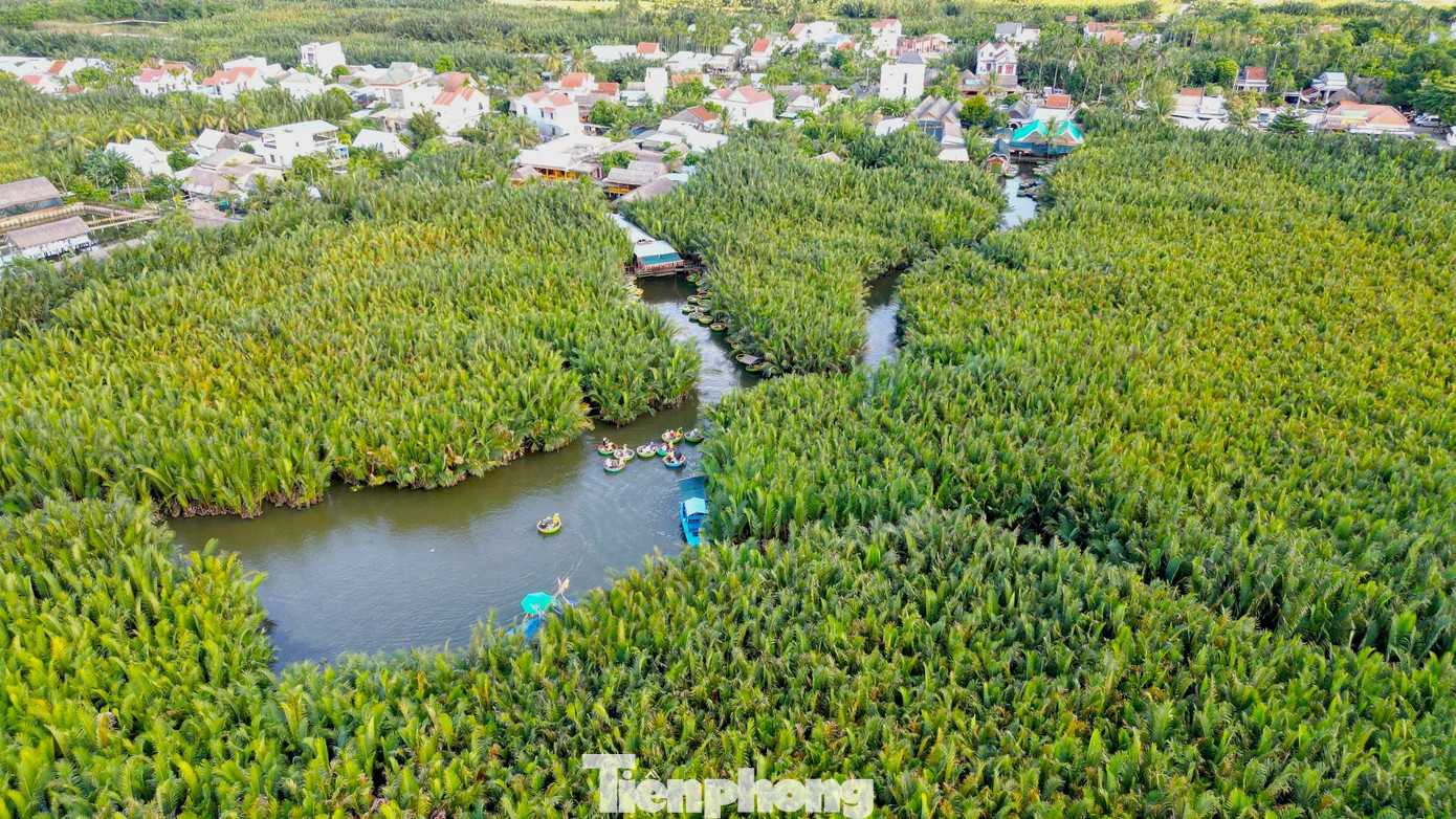 C&oacute; g&igrave; ở ng&ocirc;i l&agrave;ng giữa rừng dừa nước được Forbes vinh danh?- Ảnh 3.