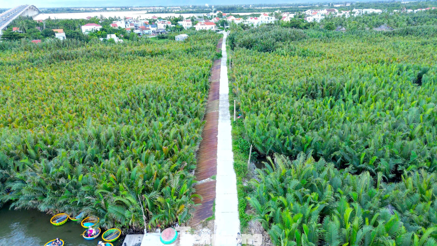 C&oacute; g&igrave; ở ng&ocirc;i l&agrave;ng giữa rừng dừa nước được Forbes vinh danh?- Ảnh 9.