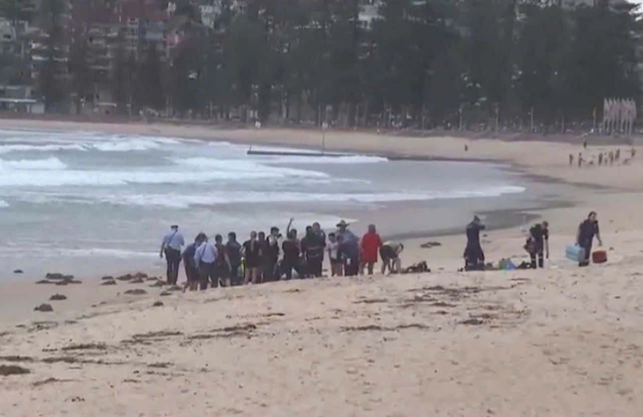 Kinh ho&agrave;ng cảnh người đ&agrave;n &ocirc;ng bị c&aacute; mập tấn c&ocirc;ng v&agrave; cuốn tr&ocirc;i tại b&atilde;i biển du lịch- Ảnh 1.