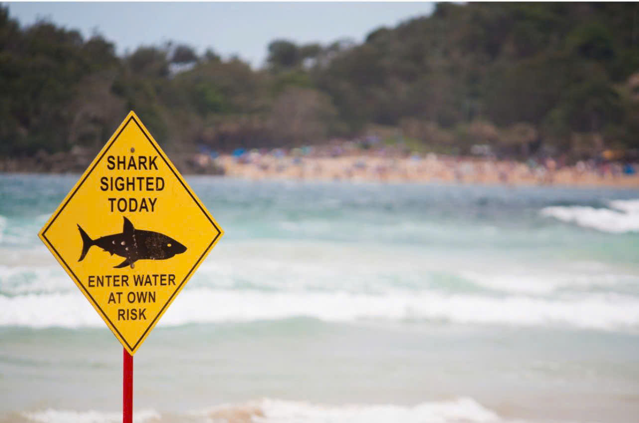 Kinh ho&agrave;ng cảnh người đ&agrave;n &ocirc;ng bị c&aacute; mập tấn c&ocirc;ng v&agrave; cuốn tr&ocirc;i tại b&atilde;i biển du lịch- Ảnh 2.