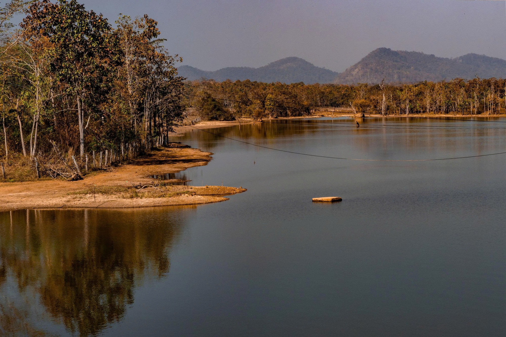 M&ecirc; mẩn với rừng khộp lớn nhất Việt Nam v&agrave;o m&ugrave;a thay l&aacute;- Ảnh 5.