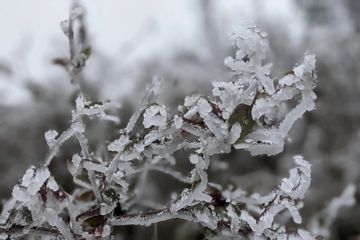 Tiết Đại h&agrave;n 2026 bao giờ kết th&uacute;c?- Ảnh 1.