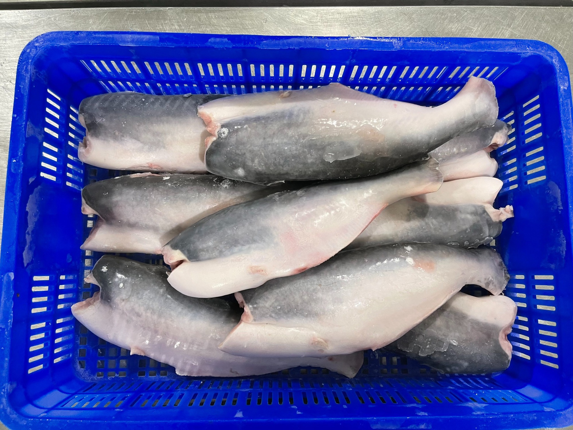 12 loại c&aacute; bổ ngang nh&acirc;n s&acirc;m tổ yến, ngọt thịt, &iacute;t xương dăm, chợ Việt b&aacute;n từ 40.000 đồng/kg- Ảnh 1.