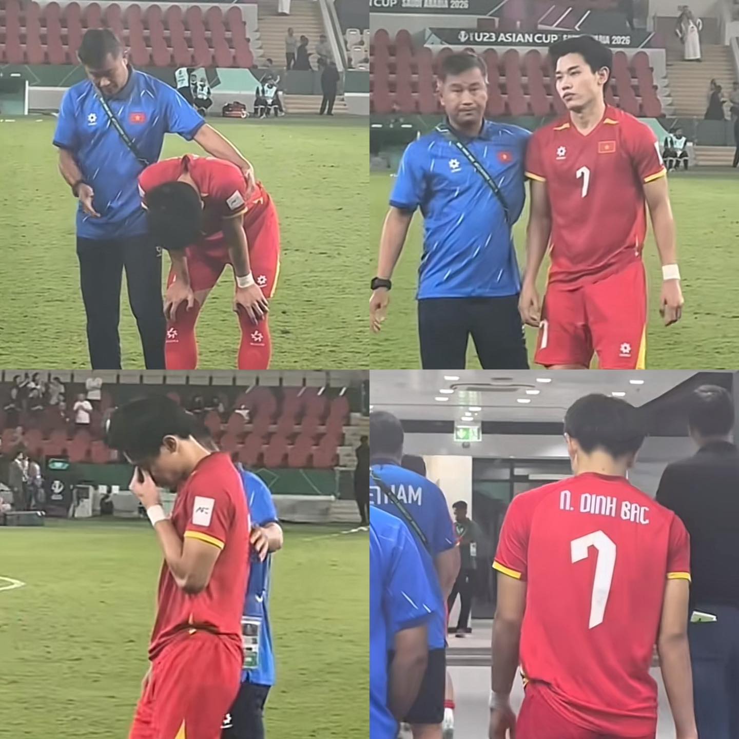 Nụ h&ocirc;n của Đ&igrave;nh Bắc- Ảnh 3.