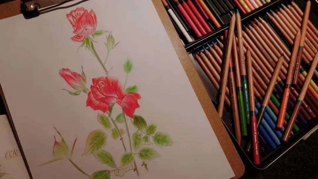 BTV kỳ cựu rời đ&agrave;i truyền h&igrave;nh v&igrave; &aacute;p lực: Dốc sạch tiền mua nh&agrave; 