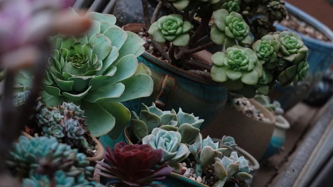 BTV kỳ cựu rời đ&agrave;i truyền h&igrave;nh v&igrave; &aacute;p lực: Dốc sạch tiền mua nh&agrave; 