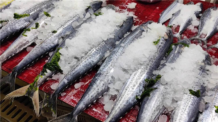 Người s&agrave;nh ăn khi mua c&aacute; thường chỉ chọn 5 loại c&aacute; biển n&agrave;y: Kh&ocirc;ng thể nu&ocirc;i nh&acirc;n tạo, ho&agrave;n to&agrave;n l&agrave; c&aacute; đ&aacute;nh bắt tự nhi&ecirc;n, 