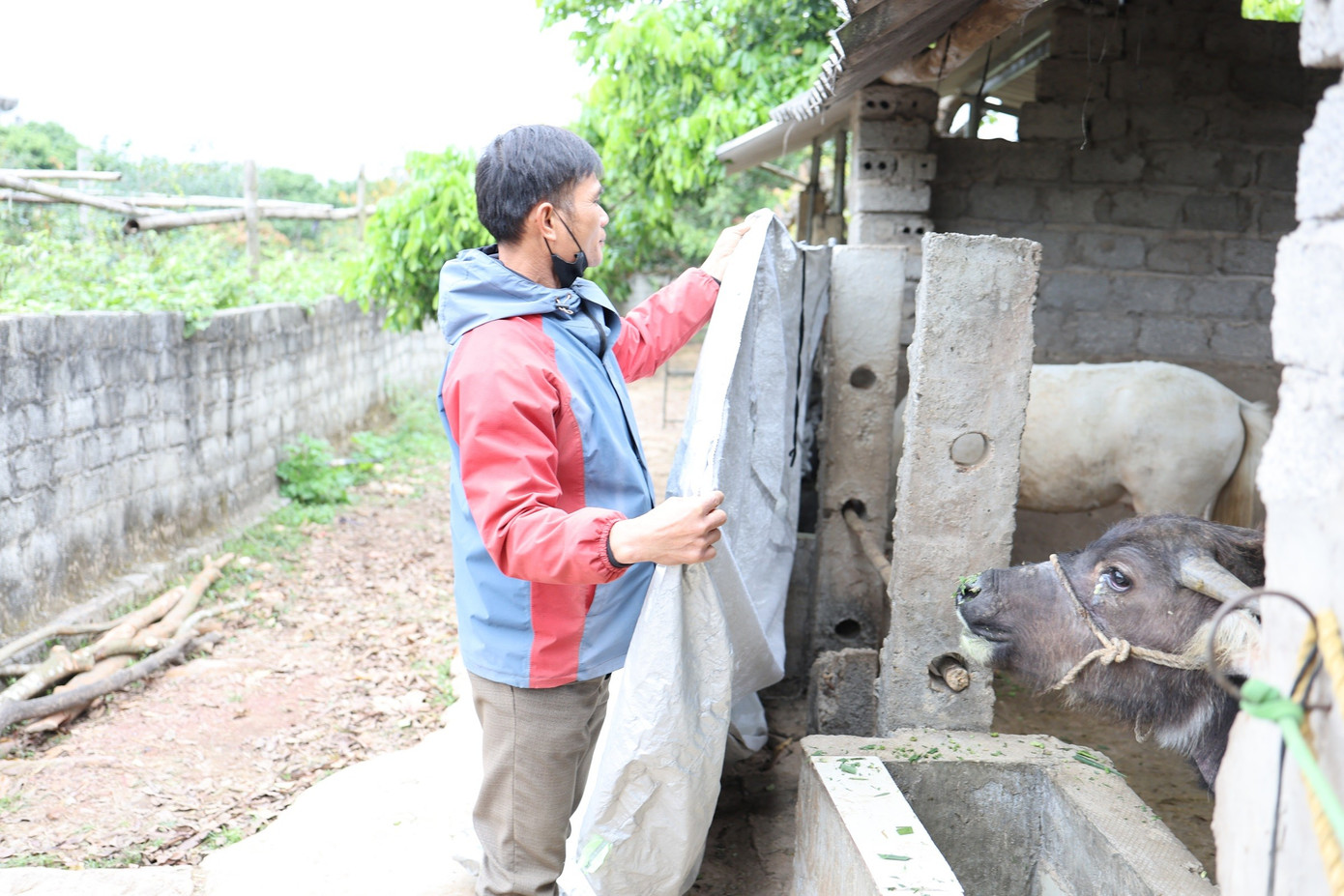 R&eacute;t kh&ocirc;ng k&eacute;m Sa Pa, d&acirc;n Bắc Ninh đốt lửa, căng m&igrave;nh bảo vệ vật nu&ocirc;i- Ảnh 3.