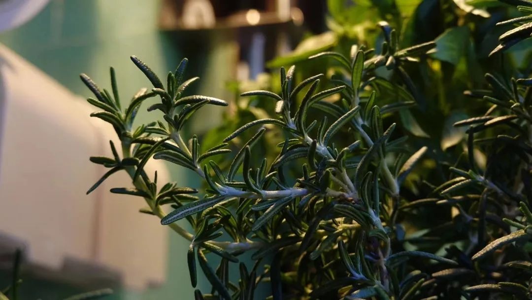 BTV kỳ cựu rời đ&agrave;i truyền h&igrave;nh v&igrave; &aacute;p lực: Dốc sạch tiền mua nh&agrave; 