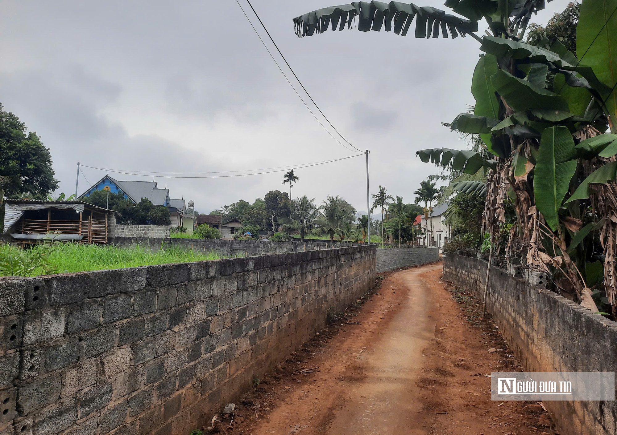 Tin nhắn &ldquo;tạm biệt&rdquo; v&agrave; ly tr&agrave; sữa chứa thuốc chuột: C&uacute; sốc với gia đ&igrave;nh, h&agrave;ng x&oacute;m- Ảnh 1.