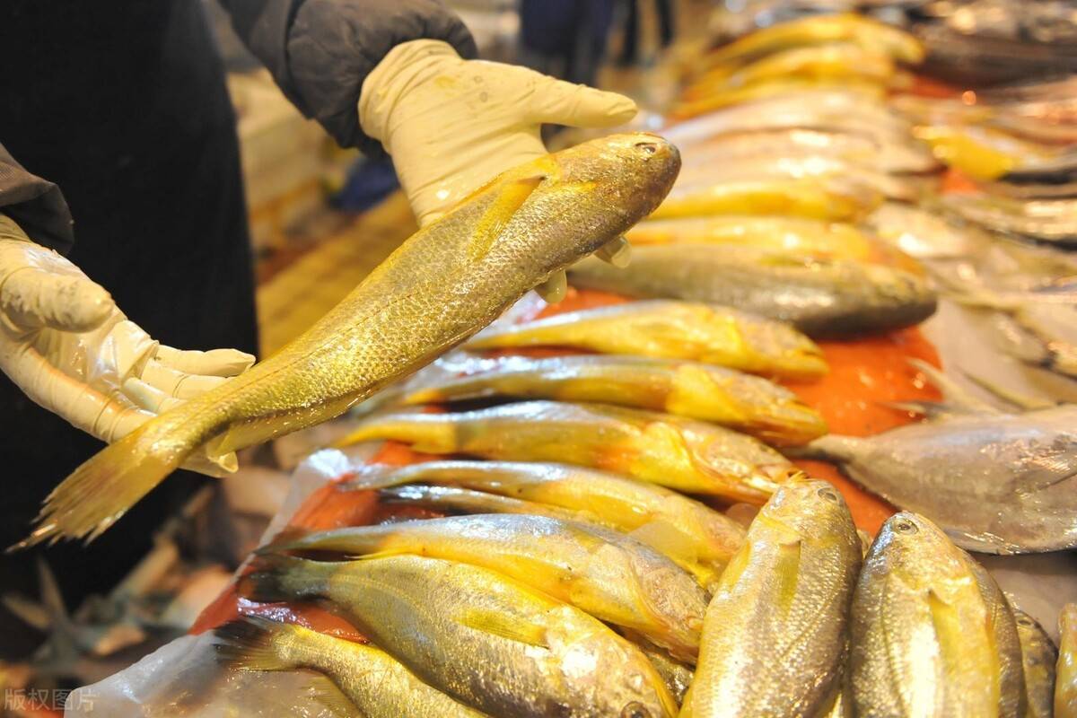 Người s&agrave;nh ăn khi mua c&aacute; thường chỉ chọn 5 loại c&aacute; biển n&agrave;y: Kh&ocirc;ng thể nu&ocirc;i nh&acirc;n tạo, ho&agrave;n to&agrave;n l&agrave; c&aacute; đ&aacute;nh bắt tự nhi&ecirc;n, 