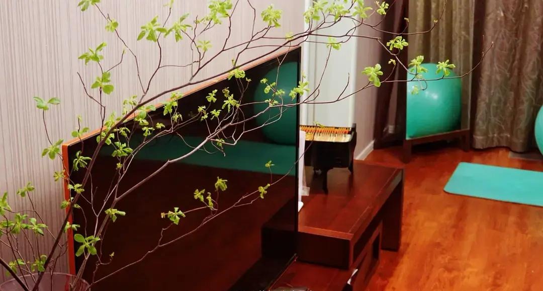 BTV kỳ cựu rời đ&agrave;i truyền h&igrave;nh v&igrave; &aacute;p lực: Dốc sạch tiền mua nh&agrave; 