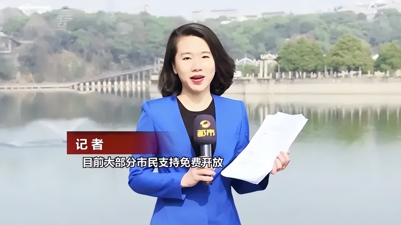 BTV kỳ cựu rời đ&agrave;i truyền h&igrave;nh v&igrave; &aacute;p lực: Dốc sạch tiền mua nh&agrave; 