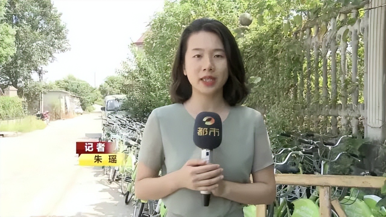 BTV kỳ cựu rời đ&agrave;i truyền h&igrave;nh v&igrave; &aacute;p lực: Dốc sạch tiền mua nh&agrave; 