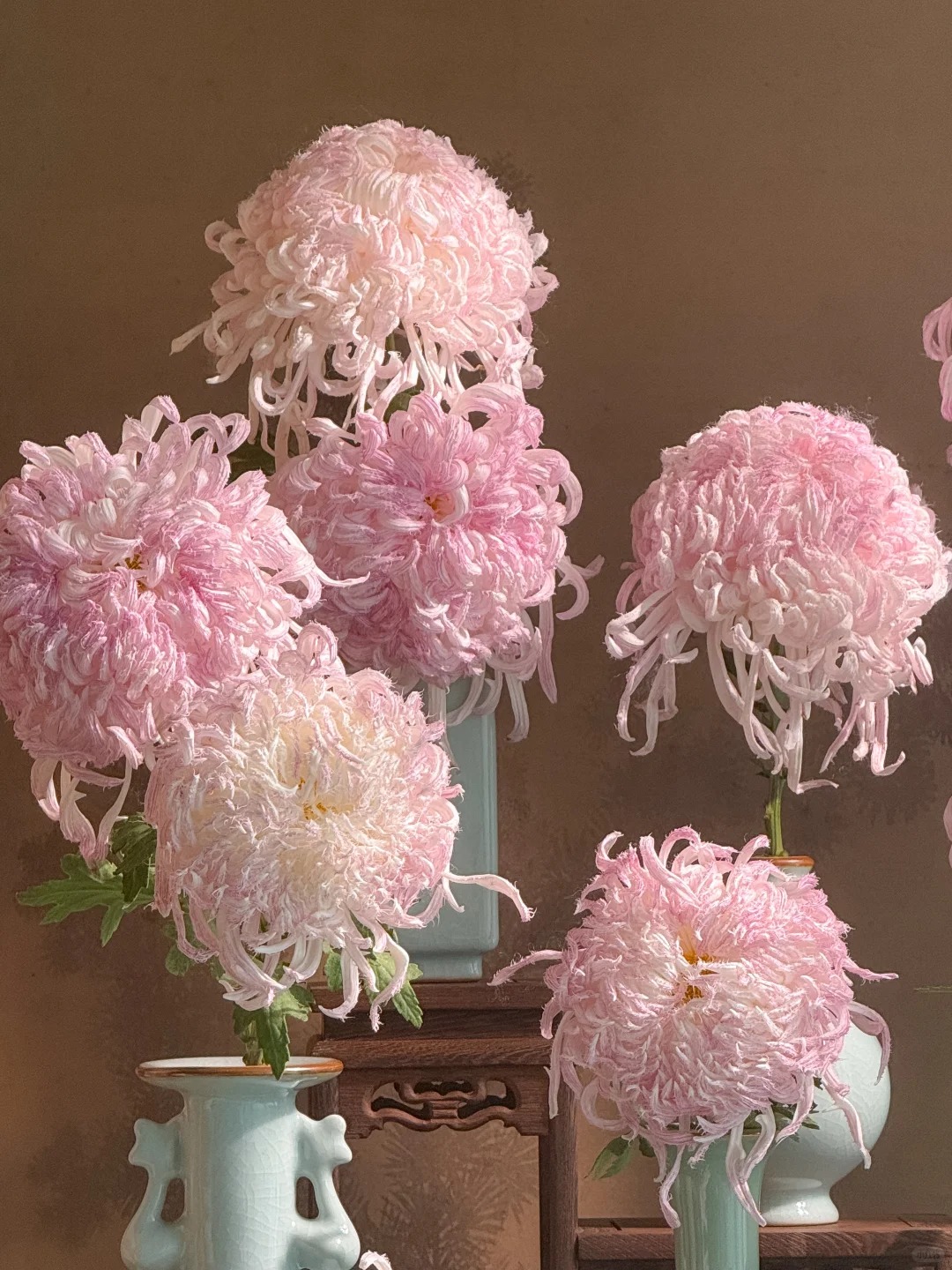 Đừng mải m&ecirc; lan hồ điệp, c&uacute;c "khổng lồ" mới l&agrave; ch&acirc;n &aacute;i: B&iacute; k&iacute;p chăm c&uacute;c nở bừng, đẹp qu&ecirc;n lối về Tết n&agrave;y- Ảnh 22.