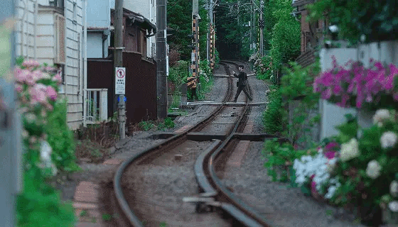 L&acirc;u rồi mới c&oacute; 1 phim ng&ocirc;n t&igrave;nh đẹp nao l&ograve;ng đến vậy: Cảnh n&agrave;o cũng như tranh vẽ, lưu ảnh mỏi cả tay- Ảnh 2.