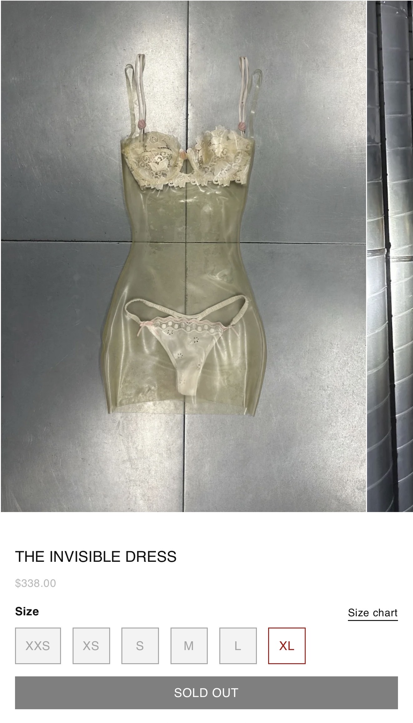 Thế giới ơi! Váy cưới trong veo hoá ra là mơ ước của nhiều người?- Ảnh 8. Thế giới ơi! Váy cưới trong veo hoá ra là mơ ước của nhiều người?- Ảnh 8.