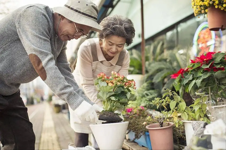 Khảo s&aacute;t 1.000 người sống thọ tr&ecirc;n 100 tuổi h&eacute; lộ: Điểm chung của người trường thọ kh&ocirc;ng nằm ở việc tập thể dục, m&agrave; l&agrave; 5 điều n&agrave;y- Ảnh 6.