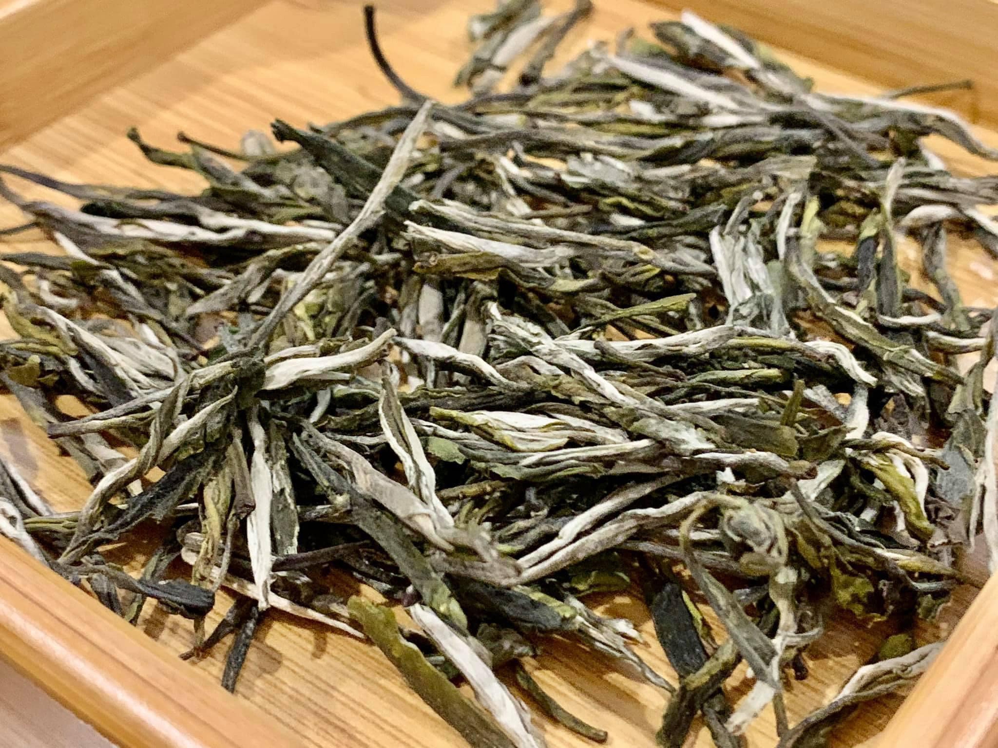 Loại tr&agrave; gần 700 triệu đồng/kg ở Việt Nam: Sống ở độ cao tr&ecirc;n 1.500 m, c&oacute; tới 3 l&yacute; do khiến gi&aacute; đắt đỏ- Ảnh 3.