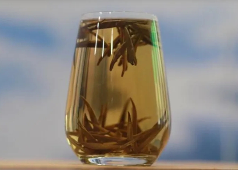 Loại tr&agrave; gần 700 triệu đồng/kg ở Việt Nam: Sống ở độ cao tr&ecirc;n 1.500 m, c&oacute; tới 3 l&yacute; do khiến gi&aacute; đắt đỏ- Ảnh 4.