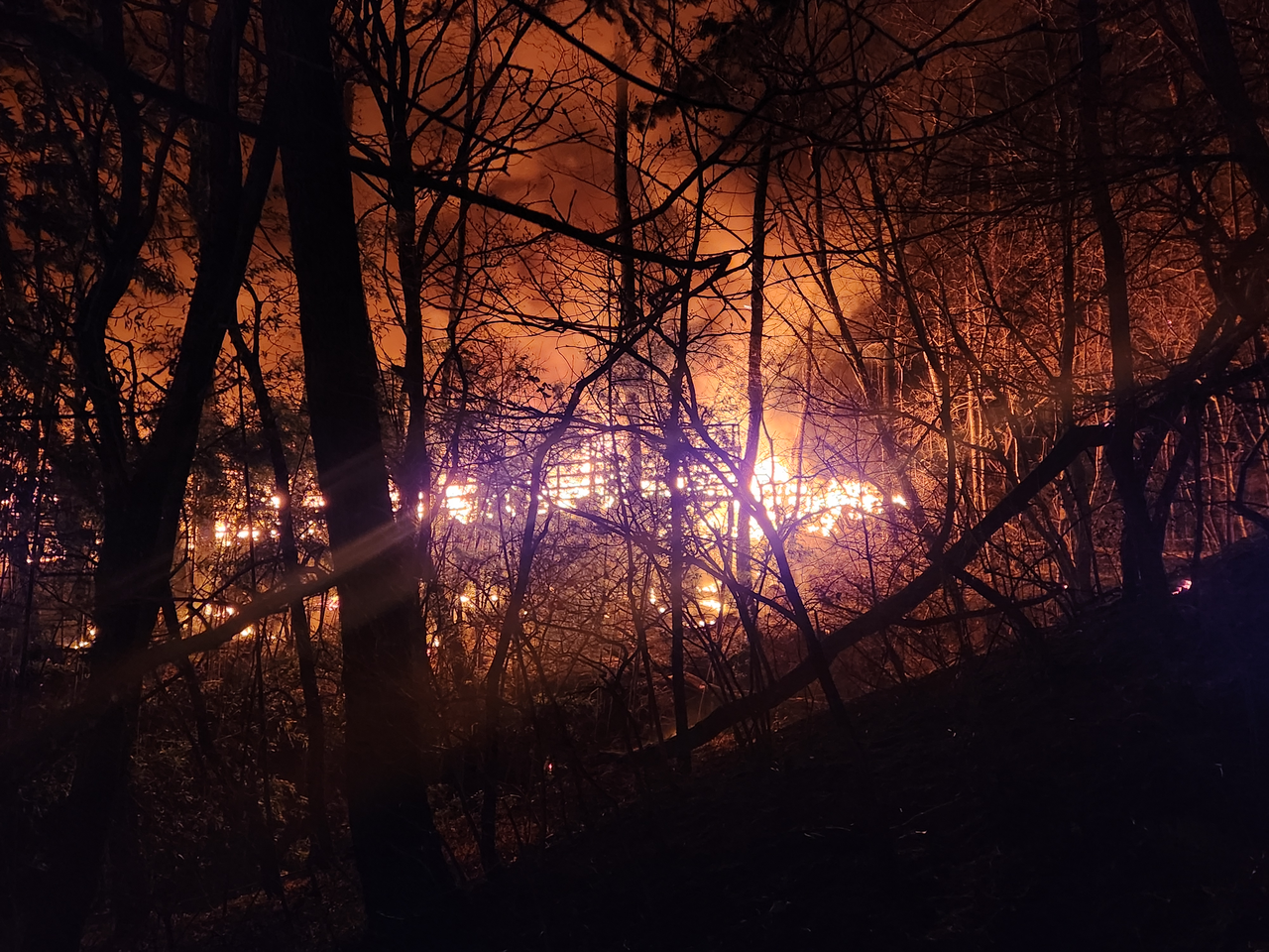 Cháy rừng nghiêm trọng ở Hàn Quốc- Ảnh 2. Cháy rừng nghiêm trọng ở Hàn Quốc- Ảnh 2.