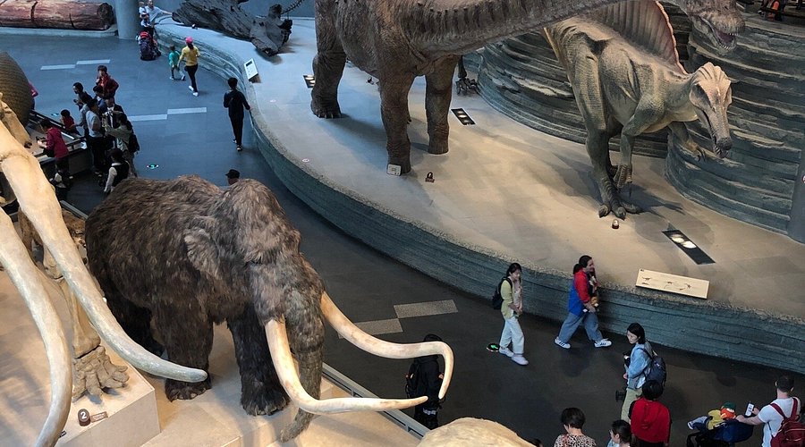 Nhiệt độ cao nhất chỉ 4 độ C, th&agrave;nh phố gi&aacute;p biển xuất hiện tuyết rơi bất ngờ: Hiếm c&oacute; sau gần 1 thập kỷ- Ảnh 5.