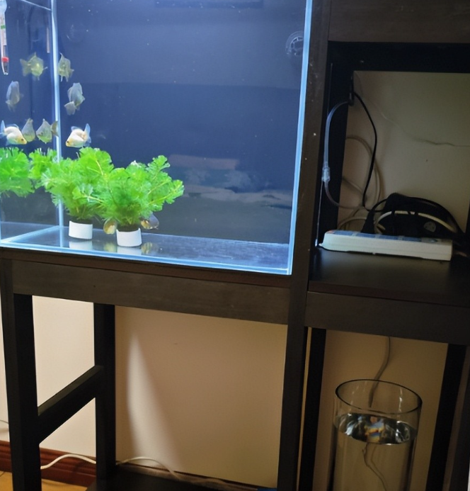 Nói với người nhà bạn: Đừng đặt 5 thứ này ở đầu giường, hại sức khỏe, ngủ không yên- Ảnh 6. Nói với người nhà bạn: Đừng đặt 5 thứ này ở đầu giường, hại sức khỏe, ngủ không yên- Ảnh 6.