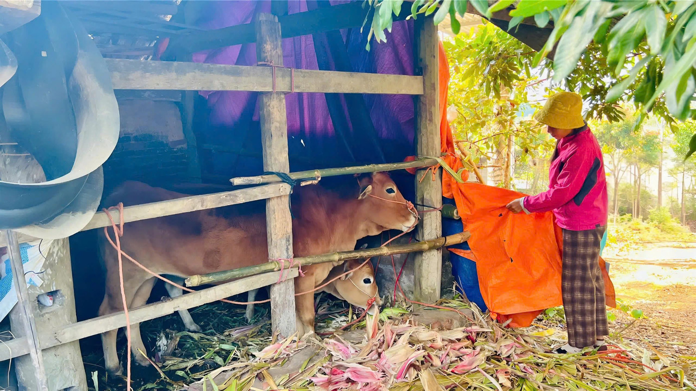 R&eacute;t kh&ocirc;ng k&eacute;m Sa Pa, d&acirc;n Bắc Ninh đốt lửa, căng m&igrave;nh bảo vệ vật nu&ocirc;i- Ảnh 2.