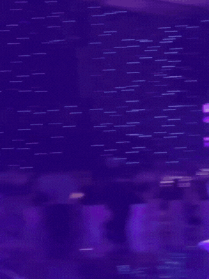 Clip si&ecirc;u hiếm h&eacute; lộ kh&ocirc;ng gian đ&aacute;m cưới Phương Nhi: 1 nam ca sĩ điển trai h&aacute;t mừng, c&ocirc; d&acirc;u ch&uacute; rể đ&acirc;u rồi?- Ảnh 1.