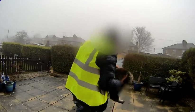 Đi giao h&agrave;ng, nam shipper trộm lu&ocirc;n m&egrave;o của kh&aacute;ch- Ảnh 1.