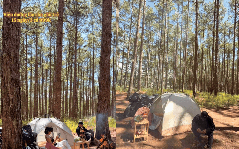 "Viện dưỡng l&atilde;o cho người trẻ" ở Đ&agrave; Lạt g&acirc;y tranh c&atilde;i: Bỏ 4 triệu đồng đổi lại 15 ng&agrave;y đi "ở đợ"?- Ảnh 2.