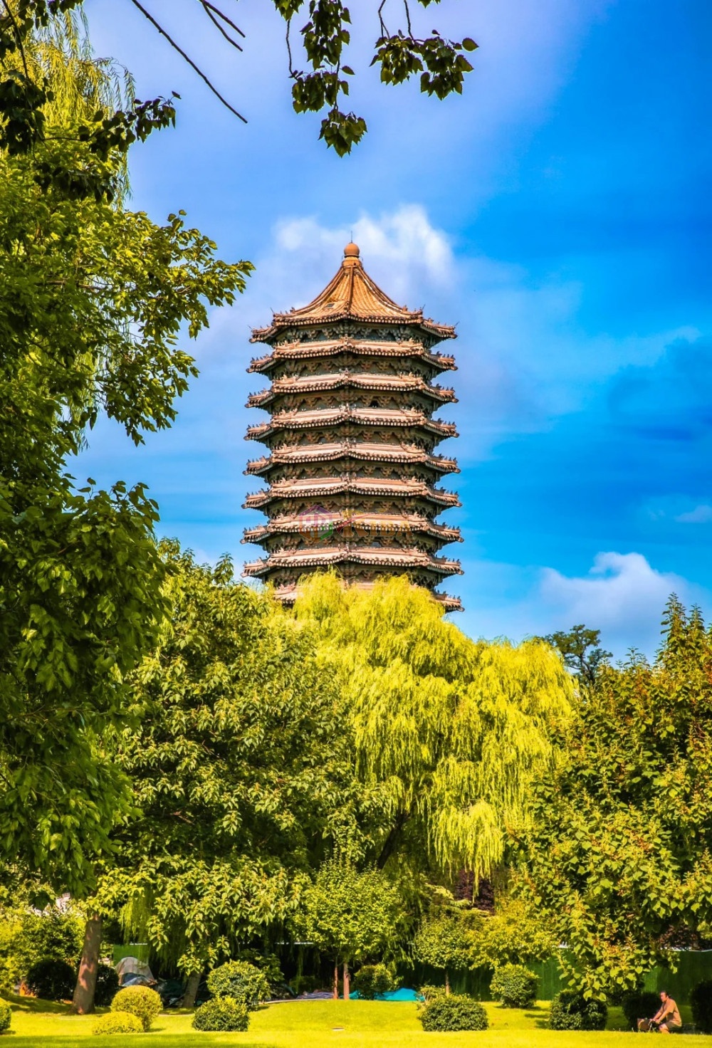 Một bức ảnh cũ chứng minh cho bạn thế n&agrave;o l&agrave; "TINH HOA HỘI TỤ"- Ảnh 3.