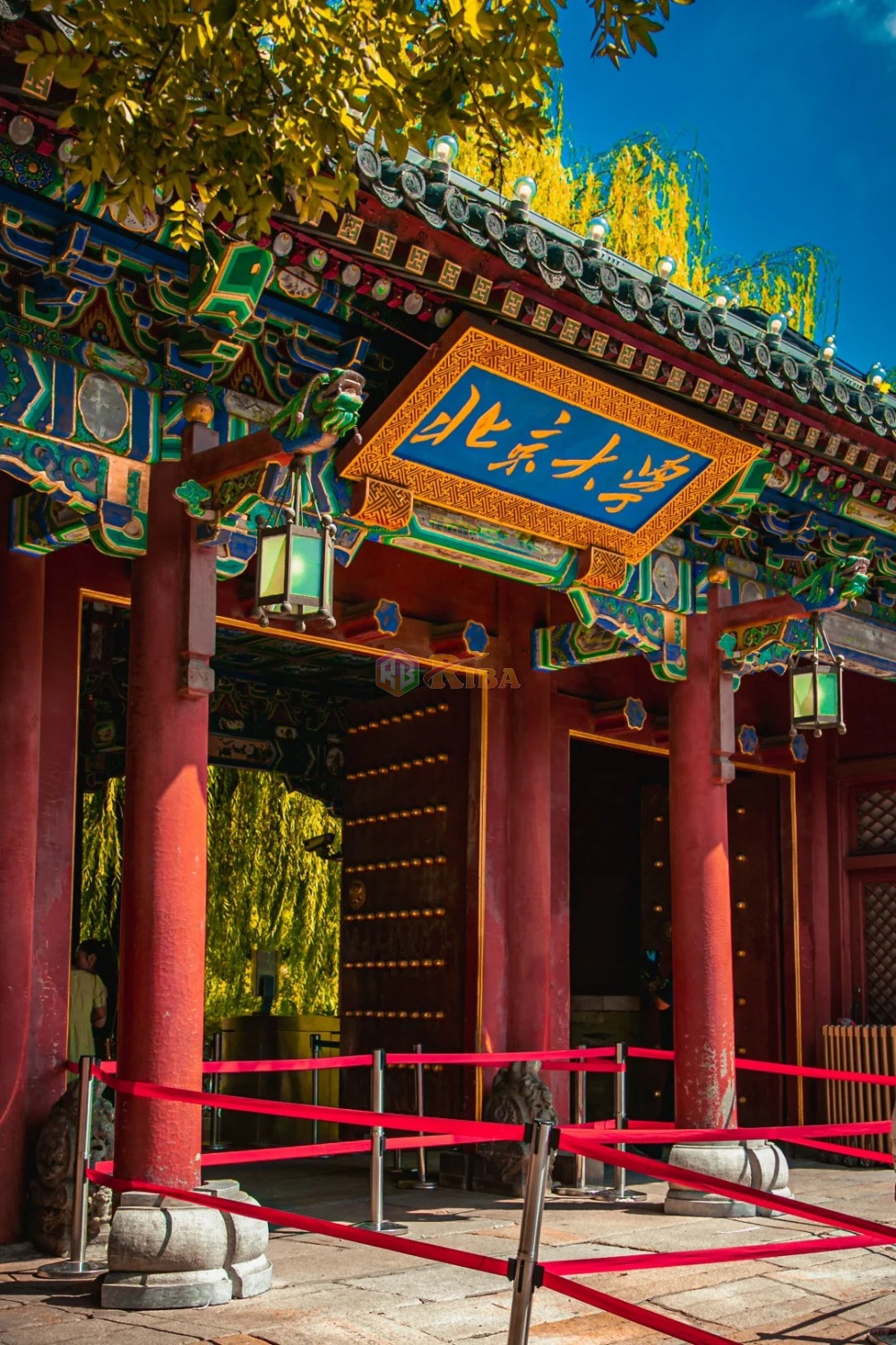 Một bức ảnh cũ chứng minh cho bạn thế n&agrave;o l&agrave; "TINH HOA HỘI TỤ"- Ảnh 2.