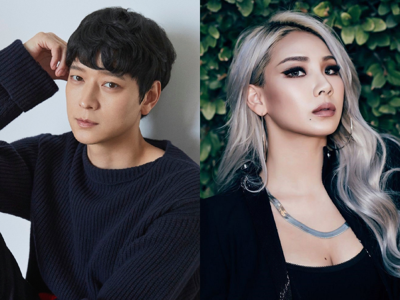 Mới nhất vụ “thánh sống” Kang Dong Won và mỹ nhân 2NE1 bị điều tra khẩn cấp- Ảnh 1. Mới nhất vụ “thánh sống” Kang Dong Won và mỹ nhân 2NE1 bị điều tra khẩn cấp- Ảnh 1.