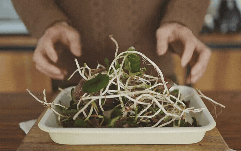 M&oacute;n ăn "ngang ngược" được l&agrave;m từ "thứ rau của quỷ" khiến kẻ kh&oacute;c người cười- Ảnh 4.