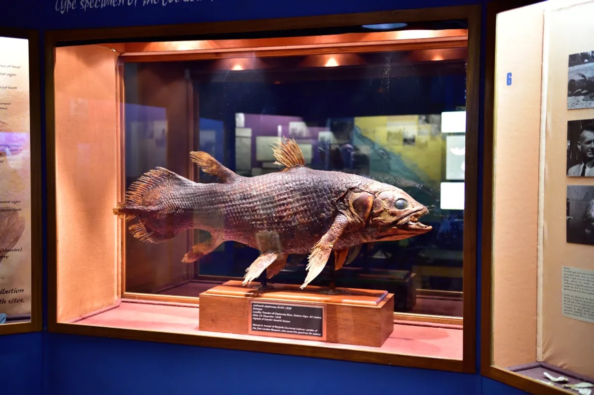 L&agrave;m thế n&agrave;o để hồi sinh một lo&agrave;i được cho l&agrave; đ&atilde; tuyệt chủng 66 triệu năm?- Ảnh 1.