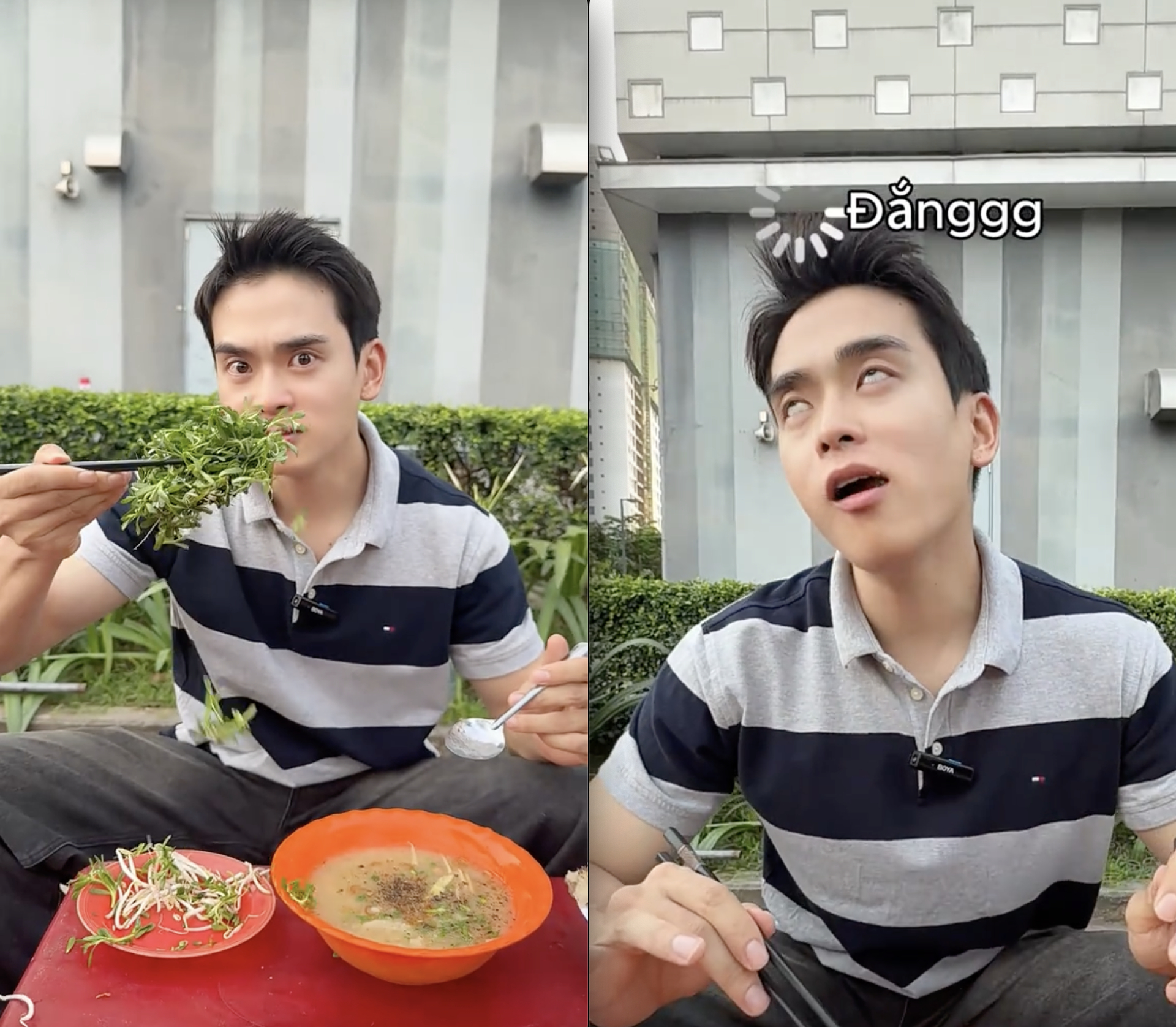 Loại rau đắng ngắt của miền Tây khiến khách Hàn vừa thử đã nghiện: Loại rau đắng ngắt của miền Tây khiến khách Hàn vừa thử đã nghiện: