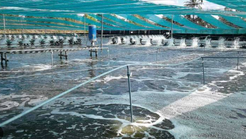 Kh&ocirc;ng phải đất hiếm, Mỹ, Trung Quốc đang đua nhau săn một kho b&aacute;u của Việt Nam: Nước ta l&agrave; &ocirc;ng lớn đứng thứ 3 thế giới, xuất khẩu lập đỉnh 4,5 tỷ USD- Ảnh 1.