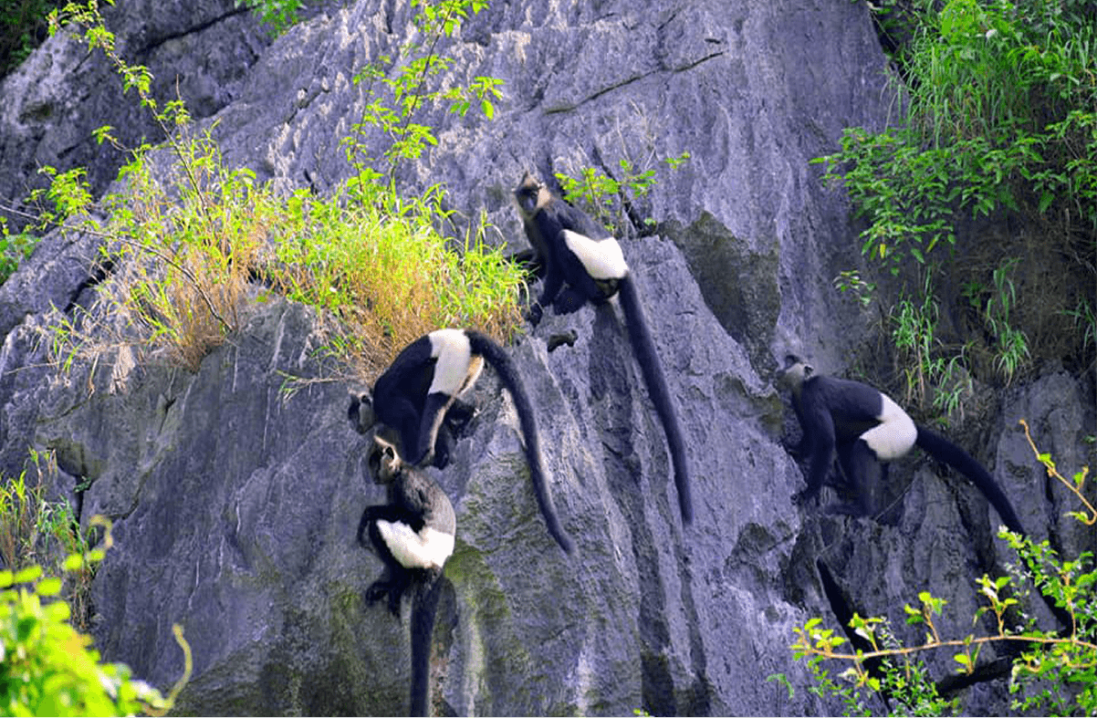 Kỳ t&iacute;ch: Khu đầm lầy lớn nhất miền Bắc rộng 3.000ha, từng x&aacute;c lập 2 kỷ lục, tiến gần danh hiệu UNESCO- Ảnh 5.