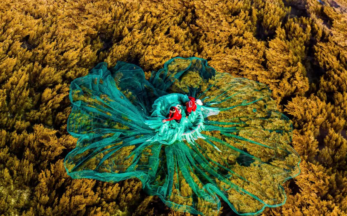 Gia Lai triển khai Đề &aacute;n du lịch 2025 - 2030, lấy ph&aacute;t triển xanh, bền vững l&agrave;m trọng t&acirc;m, hướng du lịch th&agrave;nh ng&agrave;nh kinh tế mũi nhọn. Ảnh: Dũng Nh&acirc;n