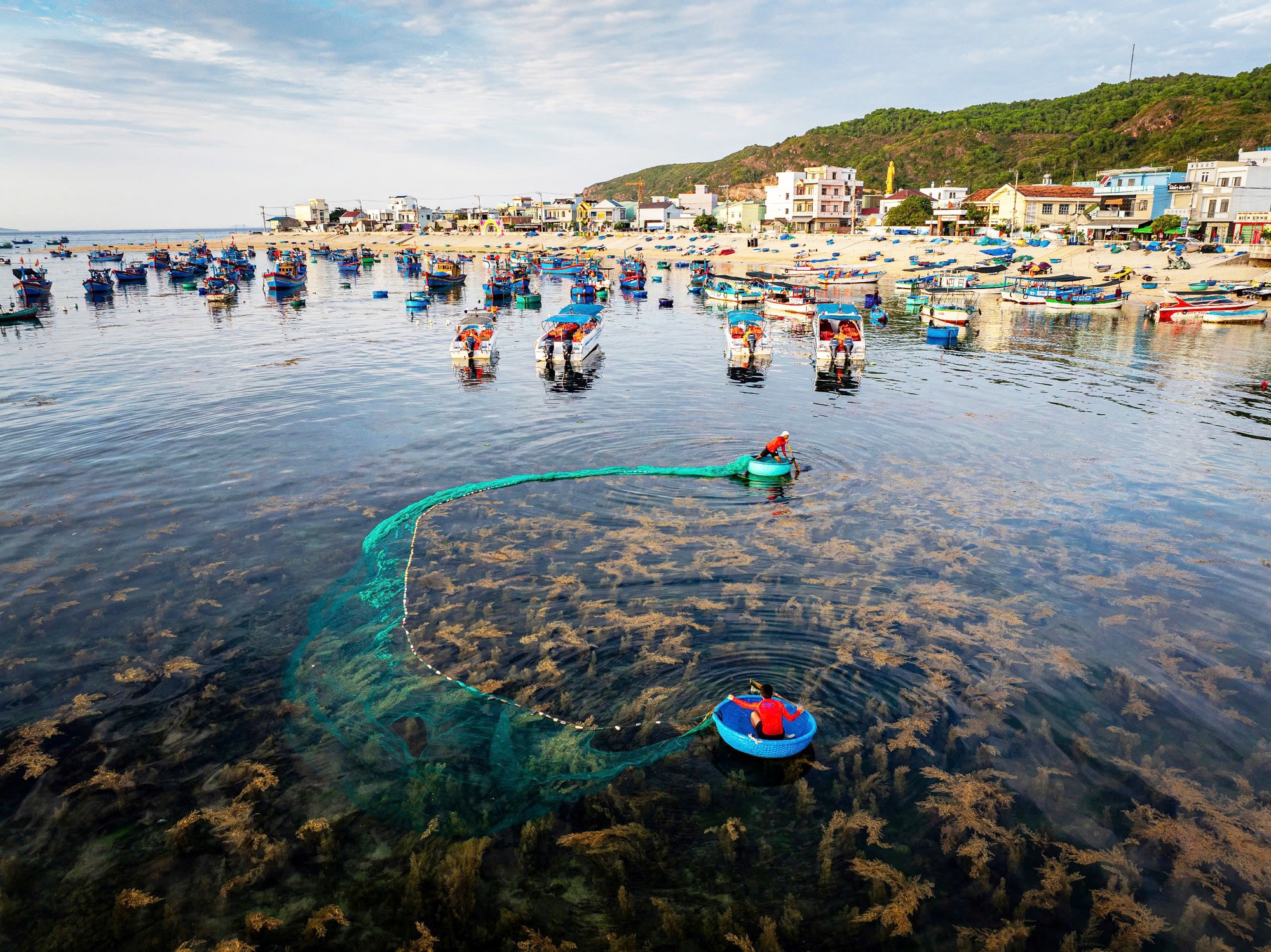 Gia Lai đặt du lịch xanh làm trụ cột phát triển dài hạn- Ảnh 2. Gia Lai đặt du lịch xanh làm trụ cột phát triển dài hạn- Ảnh 2.