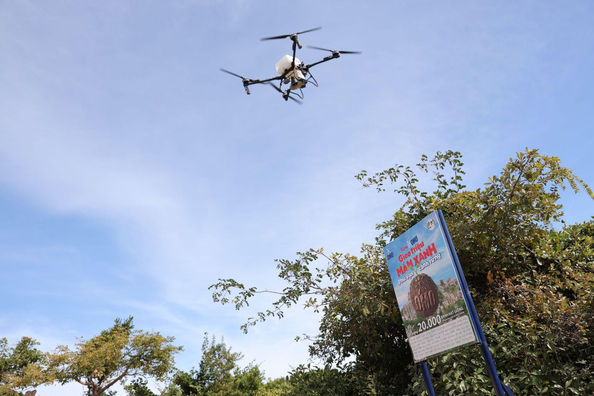 C&ugrave;ng OMO mang &ldquo;lộc xanh&rdquo; đến Vườn quốc gia N&uacute;i Ch&uacute;a - Phước B&igrave;nh- Ảnh 4.