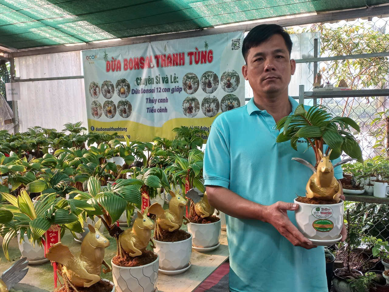 Dừa Tết độc lạ: Từ d&aacute;t v&agrave;ng 24K đến bonsai ngựa &lsquo;thi&ecirc;n thần&rsquo;- Ảnh 7.