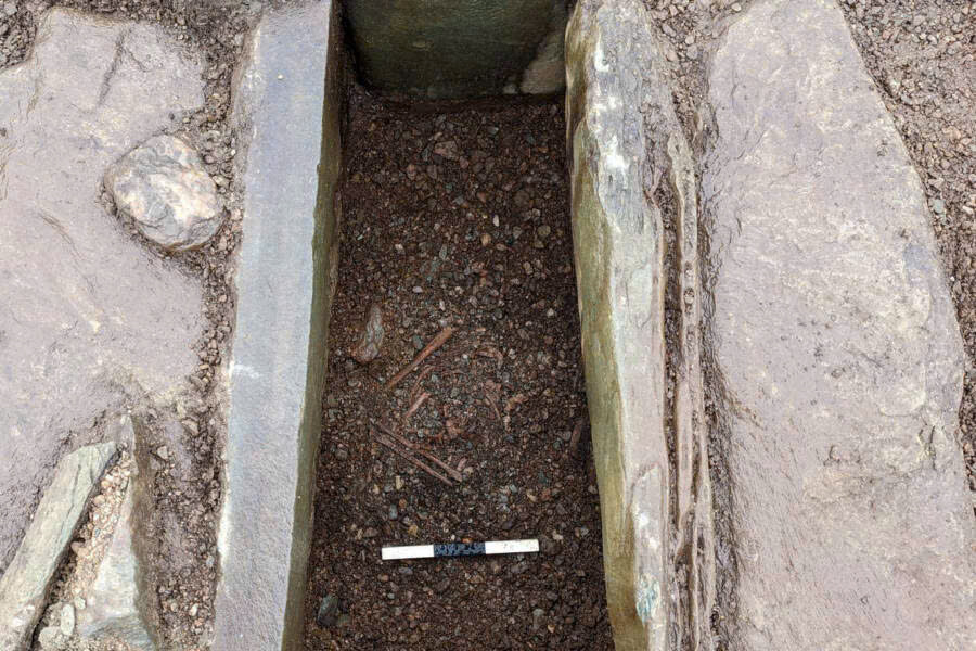 Đang c&agrave;y ruộng th&igrave; ph&aacute;t hiện thứ lạ c&oacute; ni&ecirc;n đại 4.000 năm, người n&ocirc;ng d&acirc;n kh&ocirc;ng tin v&agrave;o mắt m&igrave;nh- Ảnh 2.