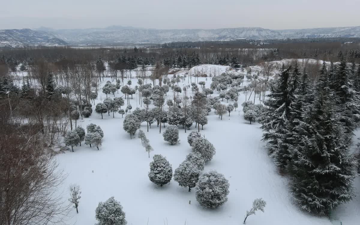 Tuyết phủ trắng cảnh quan tại th&agrave;nh phố Tam M&ocirc;n Hiệp, tỉnh H&agrave; Nam, Trung Quốc, ng&agrave;y 20/1/2026. (Ảnh: Oriental Image/Reuters)