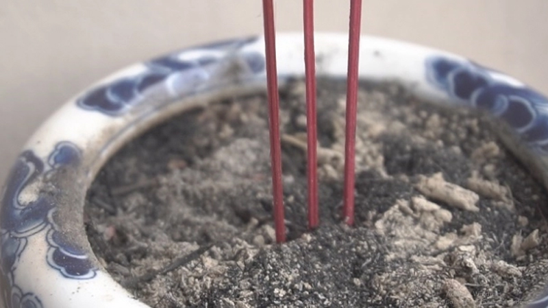 Khi n&agrave;o n&ecirc;n tỉa ch&acirc;n hương: Rằm, ng&agrave;y &Ocirc;ng C&ocirc;ng &Ocirc;ng T&aacute;o hay cuối th&aacute;ng? Tỉa xong để lại bao nhi&ecirc;u n&eacute;n?- Ảnh 3.