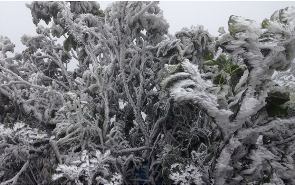 Miền Bắc duy tr&igrave; trạng th&aacute;i r&eacute;t s&acirc;u dưới 9 độ C, sắp tăng cường đợt kh&ocirc;ng kh&iacute; lạnh mới?- Ảnh 1.