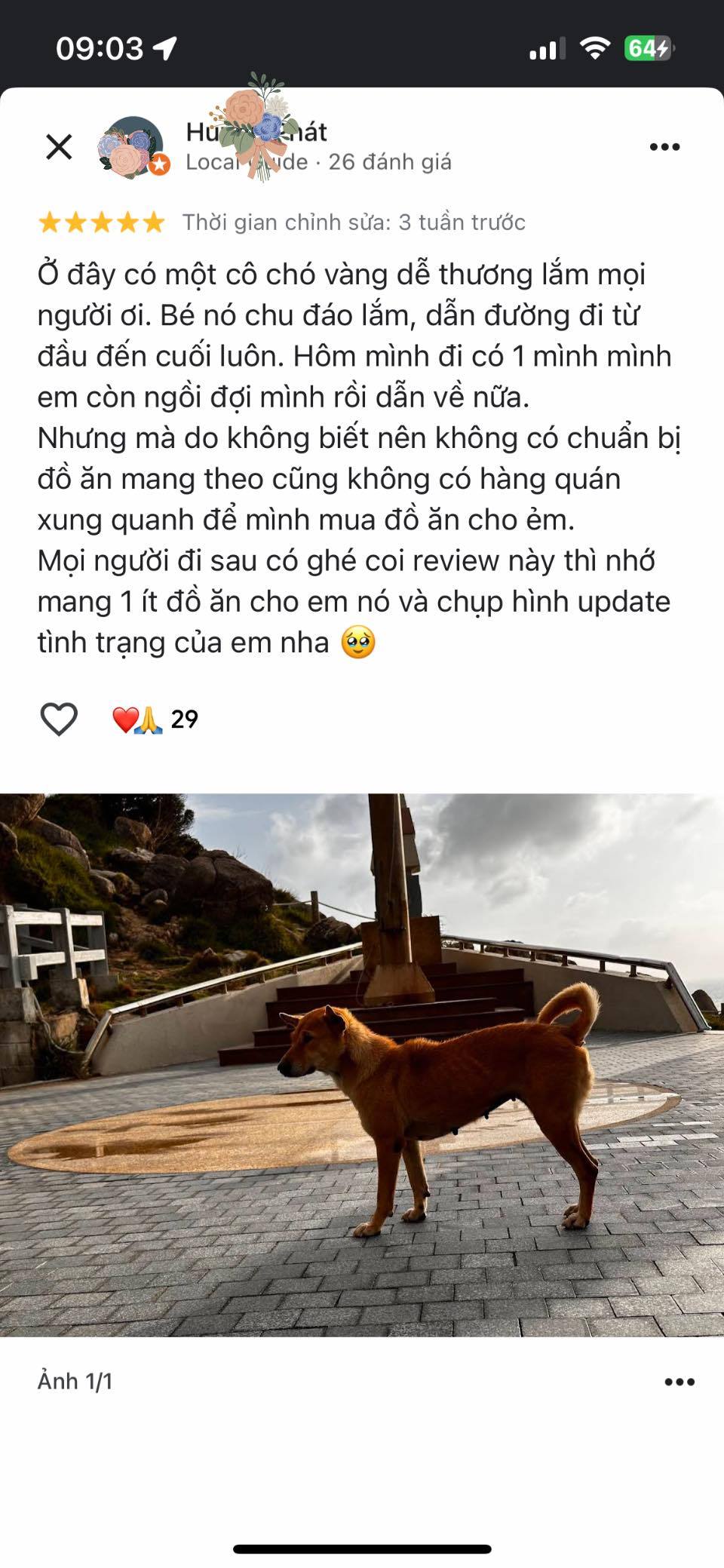 Ch&uacute; ch&oacute; v&agrave;ng được đ&aacute;nh gi&aacute; 5 sao tr&ecirc;n Google Maps v&igrave; dẫn đường kh&aacute;ch du lịch qu&aacute; c&oacute; t&acirc;m- Ảnh 3.